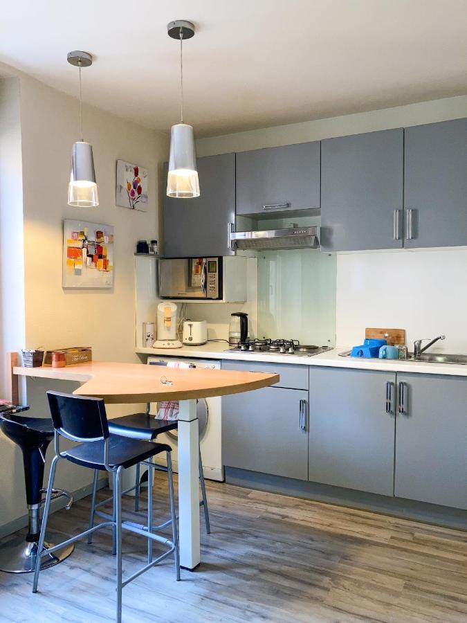 Apartmán Le Balcon Victoria - Pepiniere & Canal -30M2 Nancy Exteriér fotografie